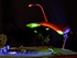 FSM-CC0712_06